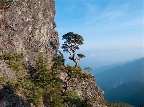 池有山